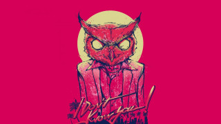 Red owl red shirt red - figurativism free wallpaper