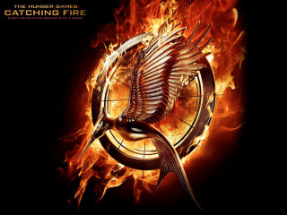 Bird flying fire target sword - david young cameron free wallpaper