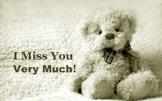 Teddy bear blanket i miss - derek chittock free wallpaper