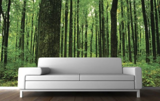 Couch forest mural white room - forest free wallpaper