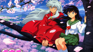 Anime characters tree branch cherry - anime visual free wallpaper