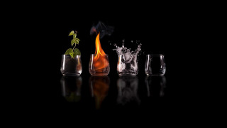 Glasses plant water fire table - a plant free wallpaper