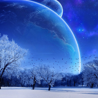 Blue planet stars birds snow 5 - the snow free wallpaper