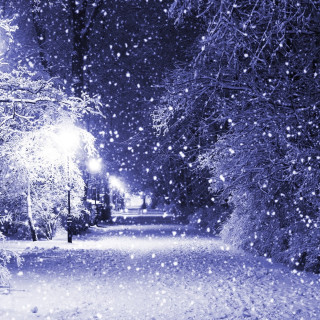 Snowy night streetlight trees falling - a matte painting free wallpaper