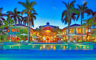 Large house pool palm trees - rich vivid color free wallpaper