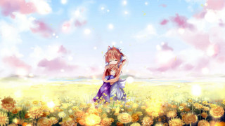 Girl cat field flowers sky - beautiful scene free wallpaper
