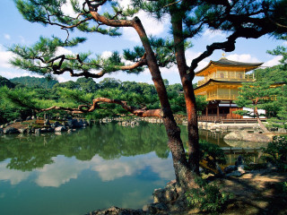 Pond pagoda trees background foreground - a few person free wallpaper
