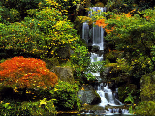 Waterfall forest autumn bushes nature - impressionist free wallpaper