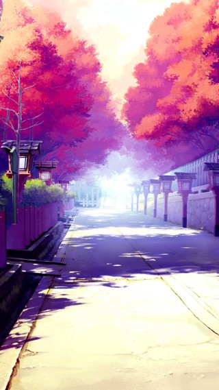 Red tree lined street building - the side of the road free wallpaper