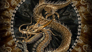 Golden dragon black background gold - fang congyi free wallpaper
