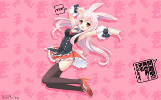 Girl long hair rabbit ears - pink free wallpaper for desktop