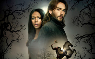 Man woman tree horse horseback - a horse and a man free wallpaper
