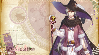 Woman costume crystal ball wand - a purple hat free wallpaper
