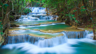 Waterfall forest pool trees rocks - the forest free wallpaper