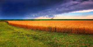 Field grass fence sky clouds - a sky free wallpaper