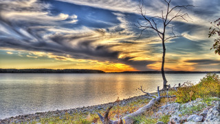 Tree grass water sky clouds - arthur quartley free wallpaper