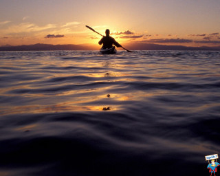 Paddle board sunset rider water - a photo free wallpaper