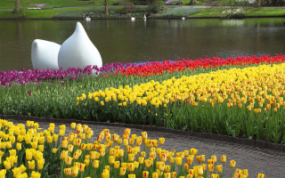 Garden pond sculpture flowers foreground - a pond free wallpaper