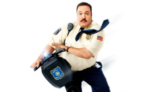 Police officer luggage microphone mustache - his face free wallpaper