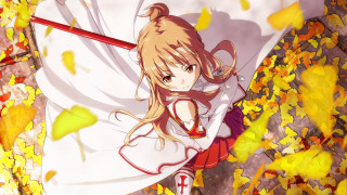 Girl sword field leaves falling - anime art free wallpaper for desktop