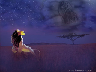 Lion field tree night sky - wildlife photography free wallpaper