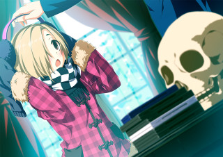 Girl pink shirt skull room - a vase free wallpaper