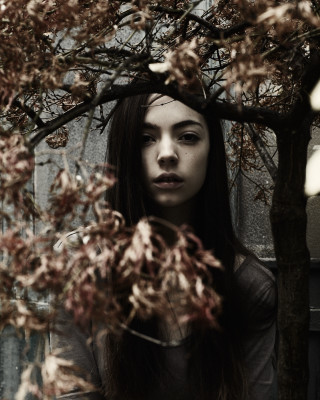 Woman long hair tree leaves - branch free wallpaper