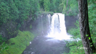 Waterfall forest nature scenery water - video art free wallpaper