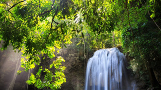 Waterfall forest sunlight trees leaves - a waterfall in the middle of a forest free wallpaper