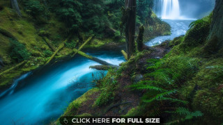 Waterfall blue water forest trees - side and trees free wallpaper