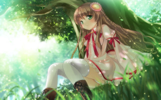 Girl sitting grass legs crossed - anime art free wallpaper