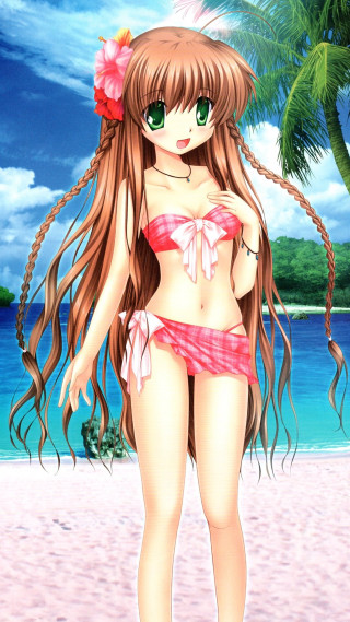 Girl beach palm sky bikini - free bikini wallpaper