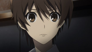Man brown eyes white shirt - his face free wallpaper