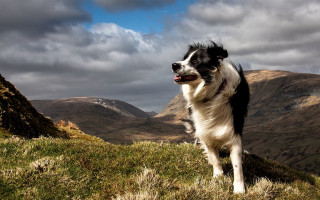 Dog hill mountains clouds sky - a hill free wallpaper