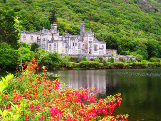 Castle hill lake flowers foreground - dorothea warren ohara free wallpaper