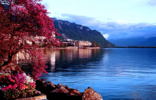 Lake flowers town mountains shore - anthony s waters free wallpaper