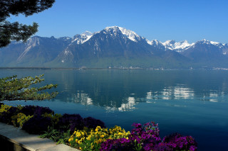 Lake mountains flowers blue sky 2 - a matte painting free wallpaper