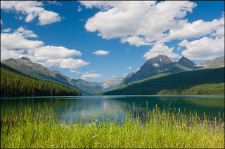 Lake mountains grass blue sky - a few white flower free wallpaper