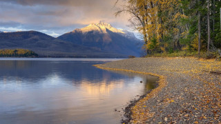 Lake mountain leaves shore trees - the shore free wallpaper
