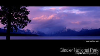 Tree lake mountains purple sky - charles martin free wallpaper
