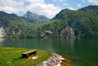 Bench lake mountain forest scenery - a forest in the background free wallpaper