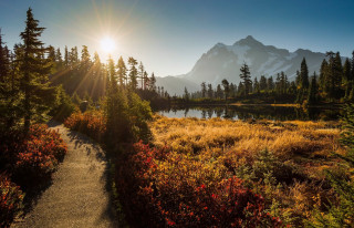 Path lake trees mountain sunlight - a path free wallpaper