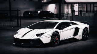 White lamb car night parking - a black roof free wallpaper
