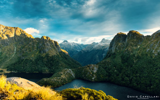 Mountain lake trees grass foreground - tree and grass free wallpaper
