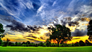 Field trees clouds sunset dawn - colorful cloud free wallpaper