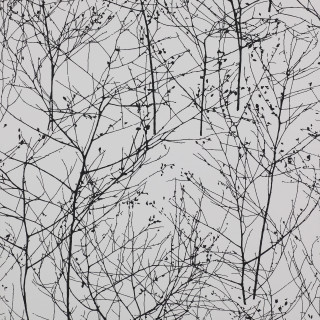 Black white branches no leaves - a few bird free wallpaper