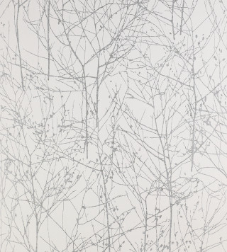 White wall branches background black - a white wall free wallpaper