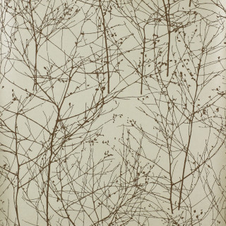 Bare tree no leaves winter - the branch free wallpaper