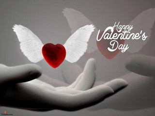 Hand heart wings flying happy - happy free wallpaper