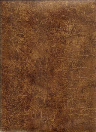 Brown leather texture background white 2 - a black border free wallpaper